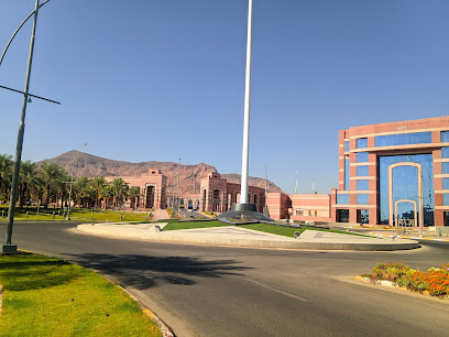 جامعة طيبة - المدينة المنورة - +966 14 861 8888
