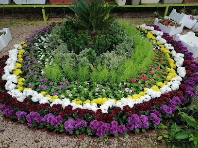 حضانة بساتين - سكاكا - +966 55 110 5454