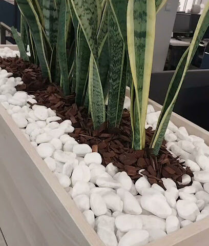 المسافر - الرياض - +966 9200 00997