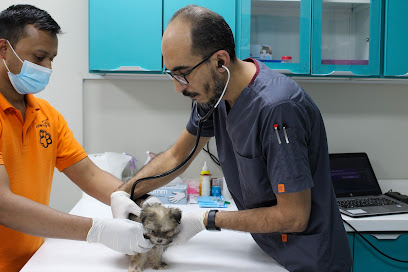 عيادة امان دلتا البيطرية - الرياض - +966 55 755 4379