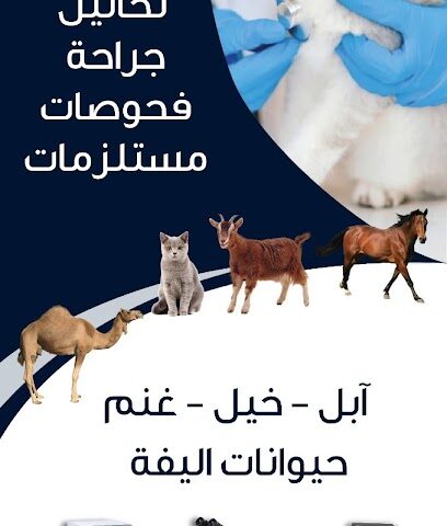 عيادة صيدلية واحة الجزيرة البيطرية - رابغ - +966 55 646 9094