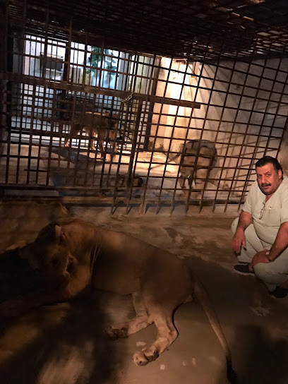عيادة التحلية الدولية البيطرية عيادة التحلية البيطرية العالمية - Saudi Arabia|Jeddah 23432|حي الروضة|6422 Nahdat At Talim