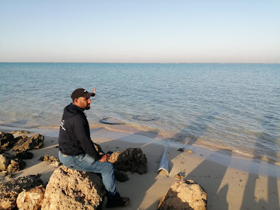 كرة الطائرة - مدينة الملك عبدالله الاقتصادية -