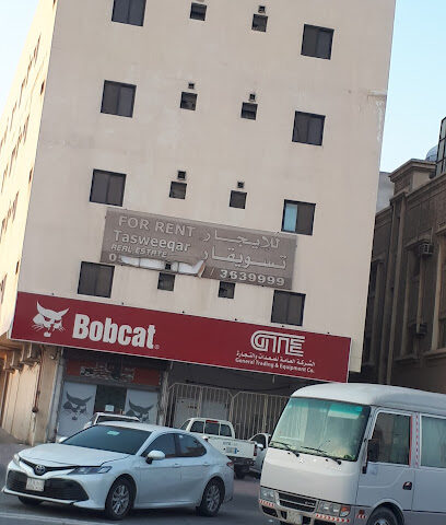 قط بري أمريكي - الجبيل -