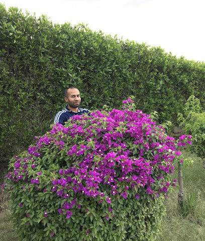 محمد مشرف - خميس مشيط -