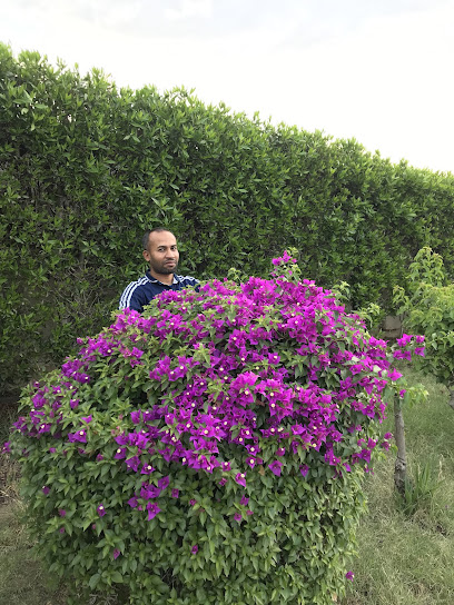 محمد مشرف - Saudi Arabia|Khamis Mushait 62461|2806