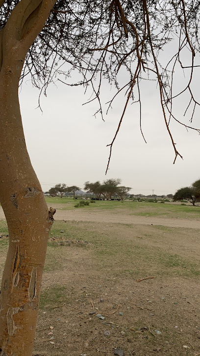 مركز صحي الشفية - Badr 46354