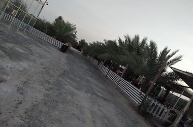 مزرعة علي ناصر خلوي - جزيرة فرسان -