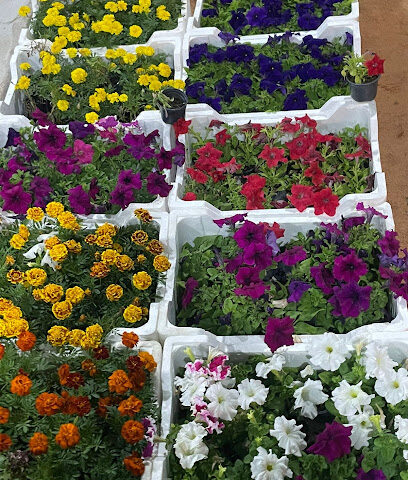 مشتل ريف ساجر - ساجر - +966 50 701 6738