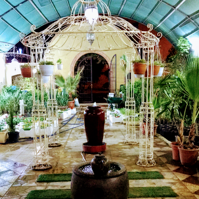 حدائق لافندر - الرس - +966 50 618 3377