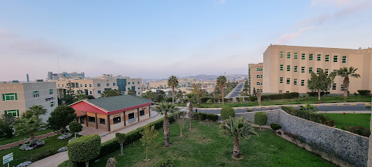 الجامعة السعودية الالكترونية - أبها - +966 11 261 3500