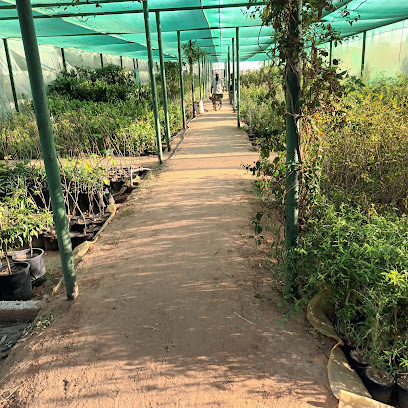 مشتل شاتل بمنطقة القصيم - بريدة - +966 50 428 3361