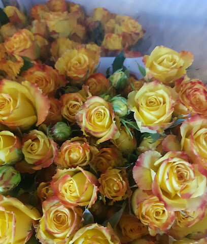 بتلات العنقود - صبيا - +966 55 153 3516